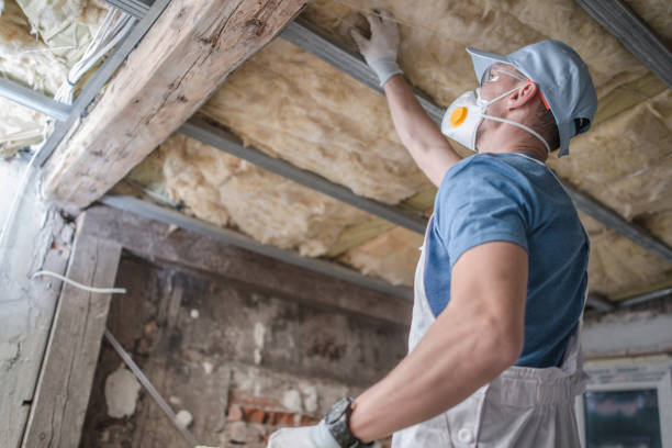 Best Geographic-Specific Insulation Services in Gadsden, AL